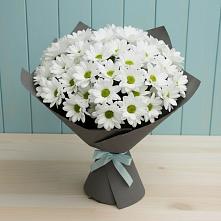 Букет цветов из:  Хризантемы #REPLACE_PRED# Радужном Ханты-Мансийского АО