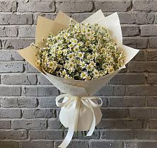 Букет цветов из:  Ромашки #REPLACE_PRED# Радужном Ханты-Мансийского АО