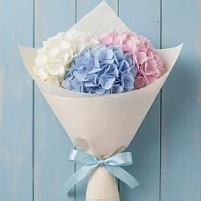 Букет цветов из:  Гортензия в Радужном Ханты-Мансийского АО