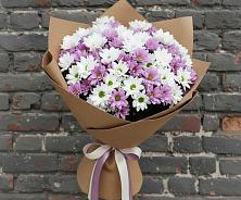 Букет цветов из:  Хризантемы в Радужном Ханты-Мансийского АО