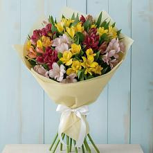 Букет цветов из:  Альстромерии в Радужном Ханты-Мансийского АО