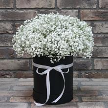 Цветочная композиция из Гипсофила в шляпной коробке в Радужном Ханты-Мансийского АО
