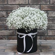 Цветочная композиция из Гипсофила в шляпной коробке в Радужном Ханты-Мансийского АО