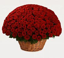 Премиум букет из: Розы в Радужном Ханты-Мансийского АО