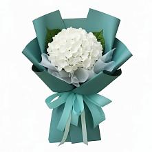 Букет цветов из:  Гортензия #REPLACE_PRED# Радужном Ханты-Мансийского АО